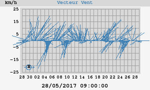 Wind Vector