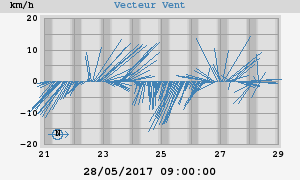 Wind Vector