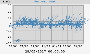 Wind Vector